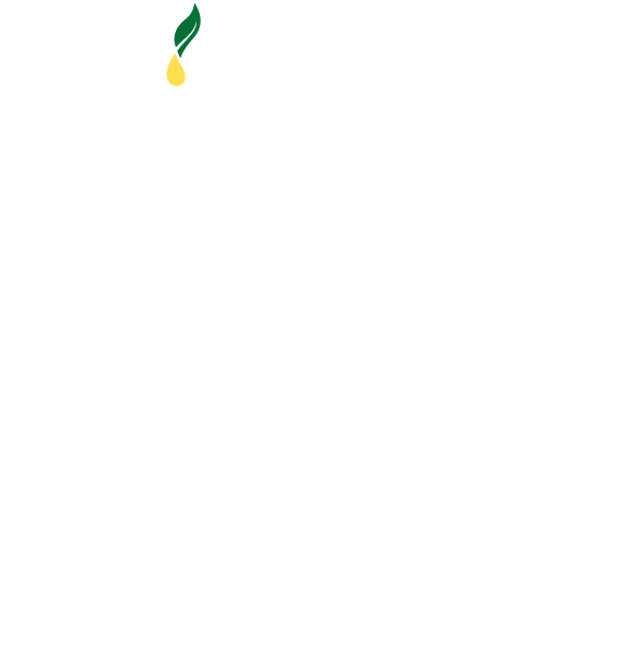 20 Years in Europe Logo