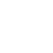 Euro Icon
