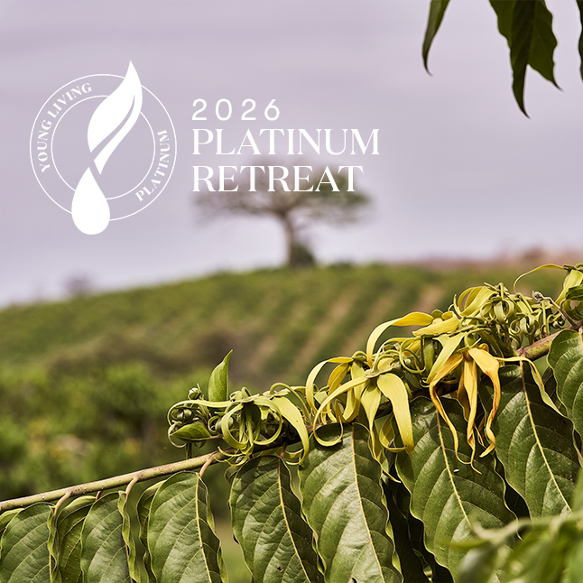 „Platinum Retreat“