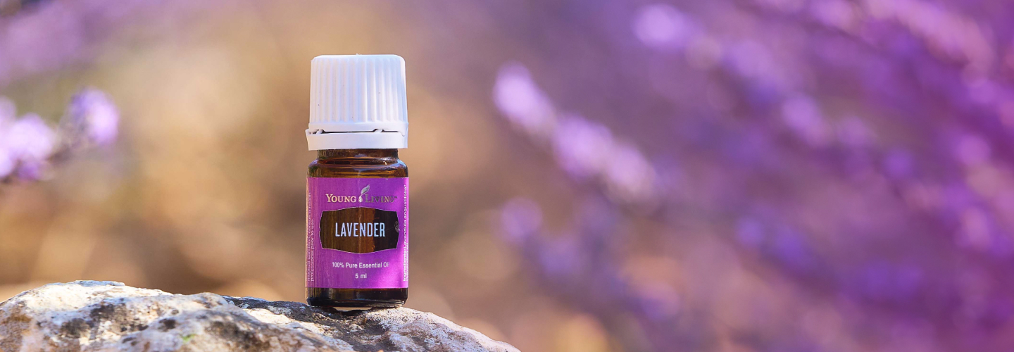 Lavender Essential Oil