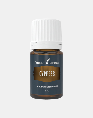 Ciprés (Cypress)