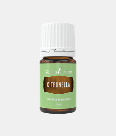 Citronella