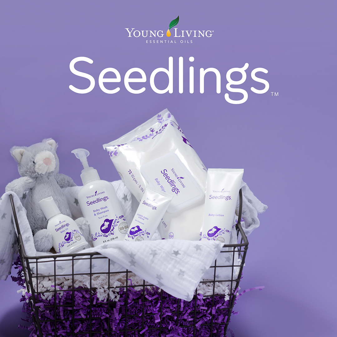 Image result for seedling young living