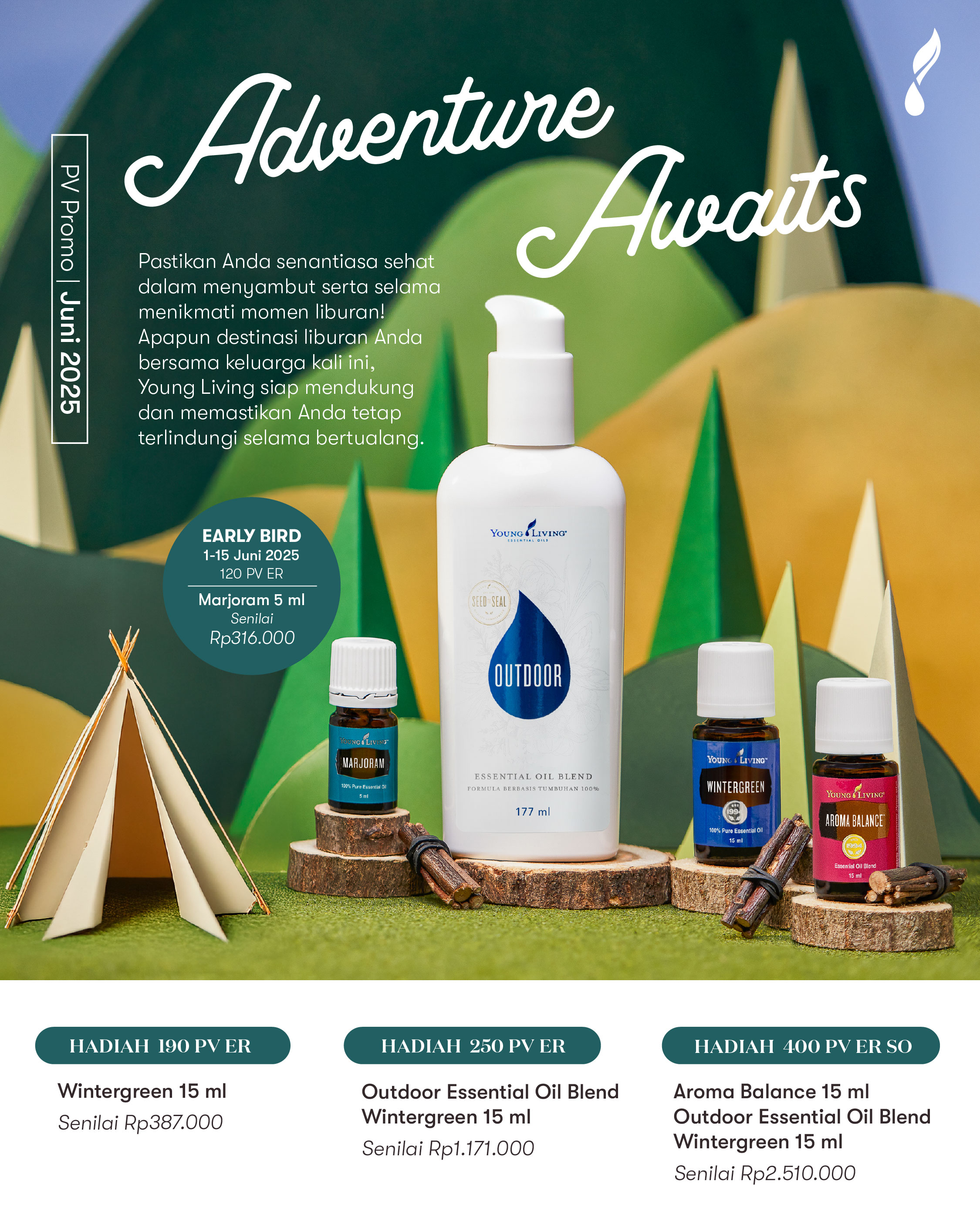 PV Promo Flyer