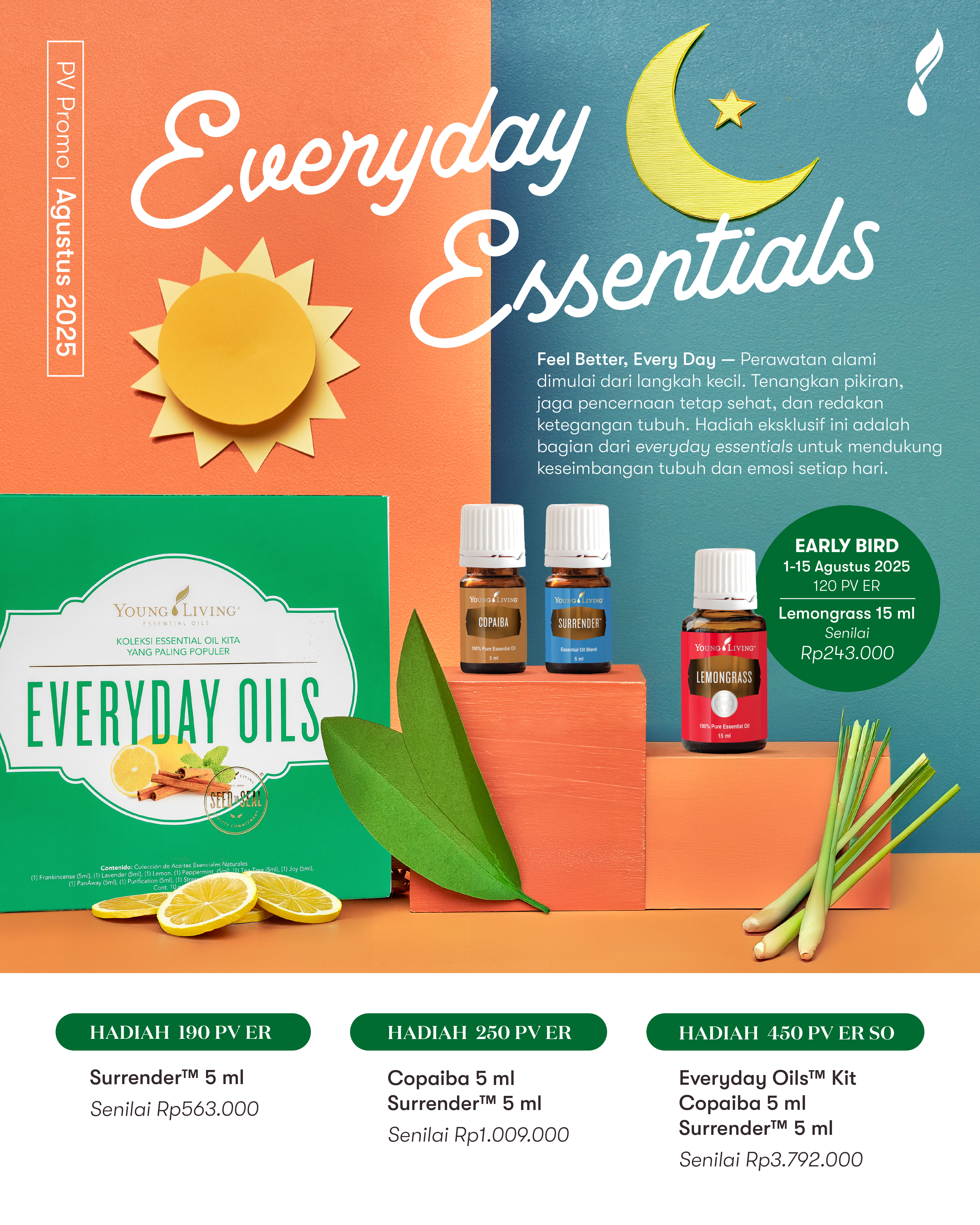 PV Promo Flyer