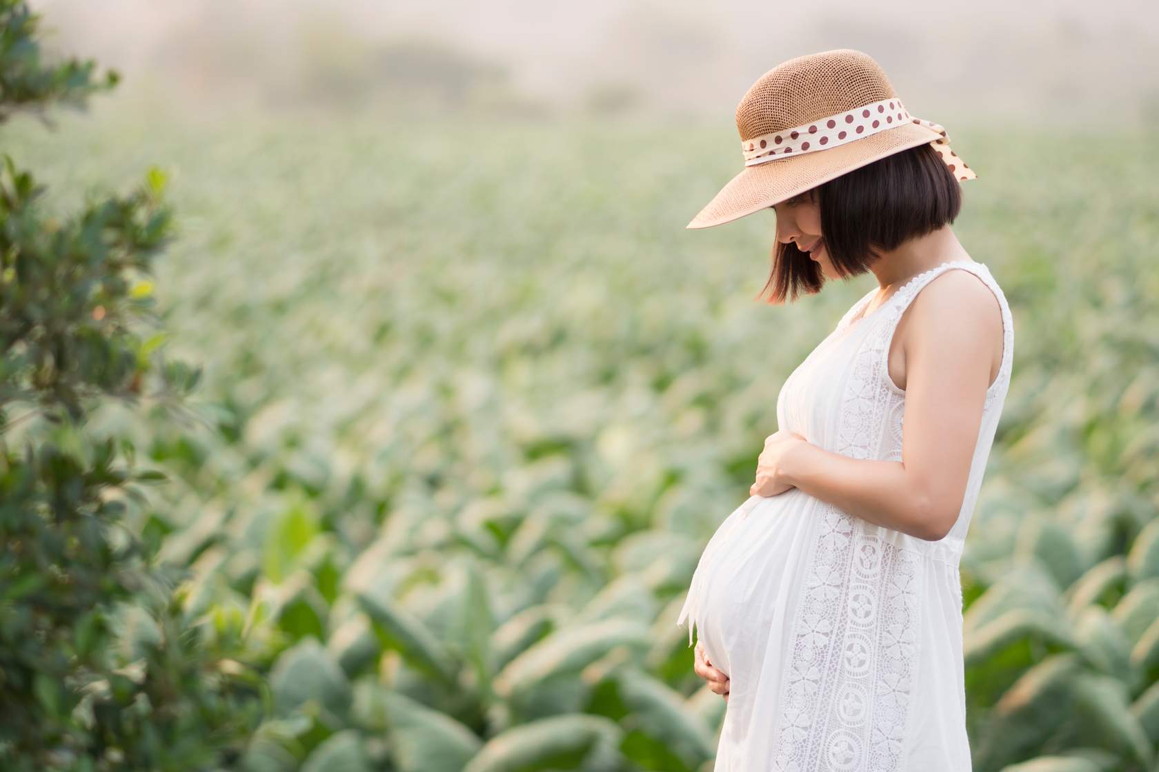 Mujer embarazada en un campo
