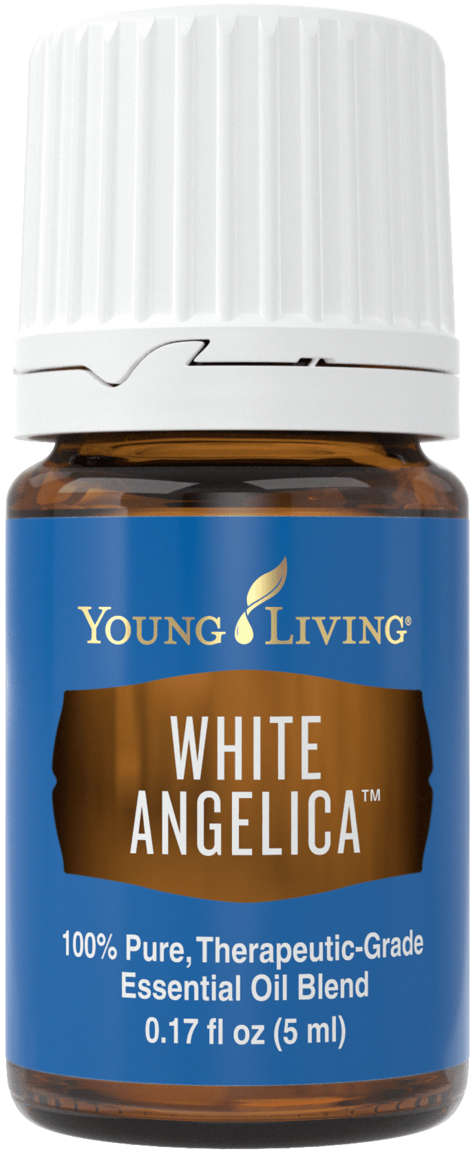 white angelica essential oil