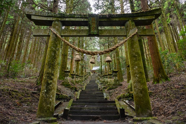 Mossy temple entrance