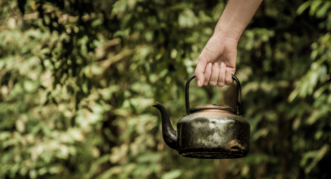 person holding watering can in garden