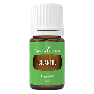 Cilantro, Young Living Essential Oils