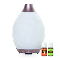 Le diffuseur Desert Mist