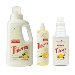 Glänzend sauber Set