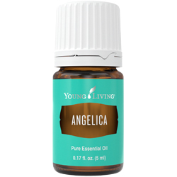 10%OFF アンジェリカ 5mL | Young Living Essential Oils