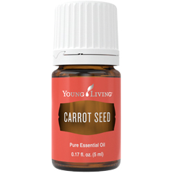 Carrot Seed Essential Oil