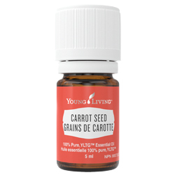 What You Should Know About Carrot Seed Essential Oil - Young