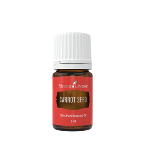 What You Should Know About Carrot Seed Essential Oil - Young Living Blog  Indonesia