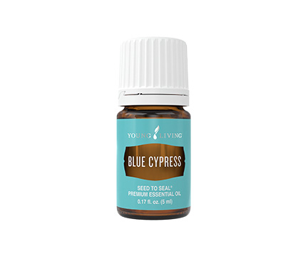 Blue Cypress Essential Oil