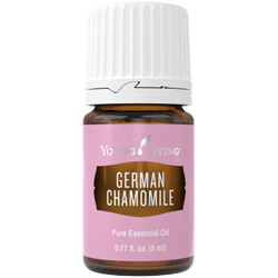 German Chamomile Essential Oil