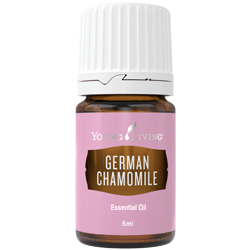 Chamomile German Essential Oil