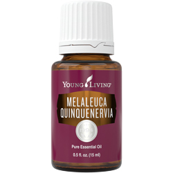 Image result for niaouli young living