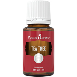 Tea Tree