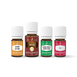 Essential oil for deals coughs