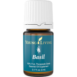 Aceite esencial Basil — imagen 2