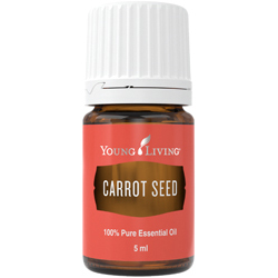 What You Should Know About Carrot Seed Essential Oil - Young