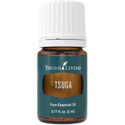 Tsuga Essential Oil