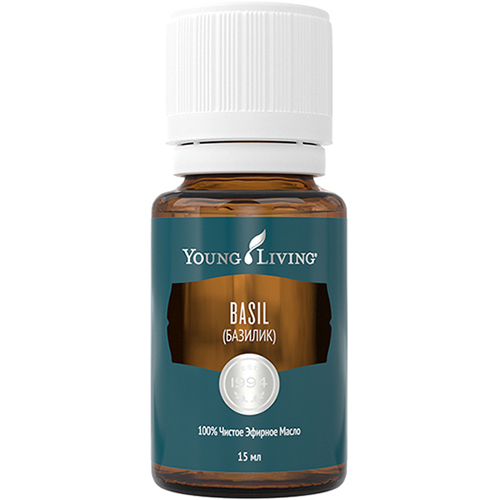 Basil Essential Oil Young Living Essential Oils