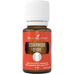 Cedarwood Essential Oil: Warm & Relaxing Cedarwood Oil ...