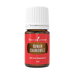 Roman Chamomile Oil Uses and Benefits