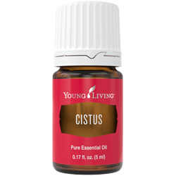 Cistus Essential Oil