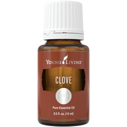 Aceite esencial de clavo | Young Living Essential Oils