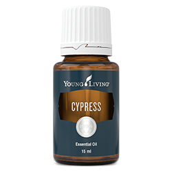 Cypress Essential Oil 15 ml