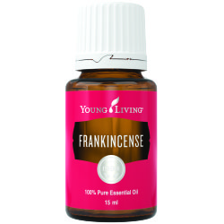 Frankincense Essential Oil Young Living Essential Oils