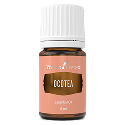 Ocotea Essential Oil