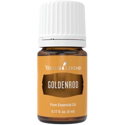 Goldenrod Essential Oil