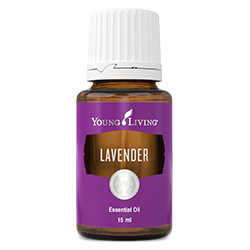 Lavender Essential Oil - 15 ml