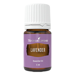 20%OFF ラベンダー 5mL | Young Living Essential Oils