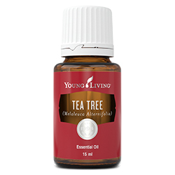 Tea Tree EO