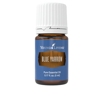 Blue Yarrow Essential Oil | Young Living Essential Oils