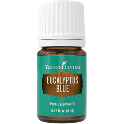 Eucalyptus Blue Essential Oil