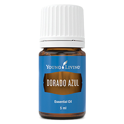 Dorado Azul Essential Oil