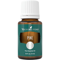 Pine Essential Oil