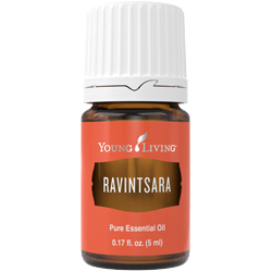 Ravintsara Essential Oil