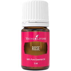 Rose Oils Rose Essential Oil Young Living Essential Oils