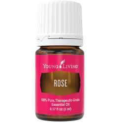 Rose Essential Oil