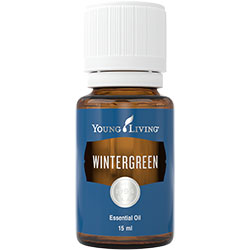 Wintergreen Essential Oil - 15 ml