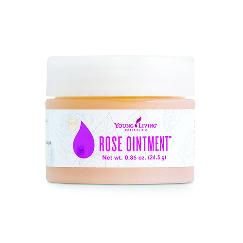 Rose ointment store young living